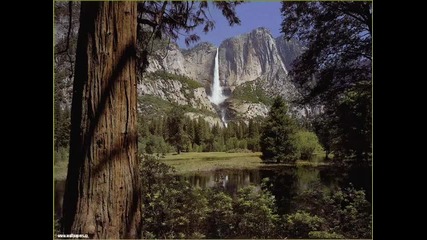 Оliver Shanti - love flows on