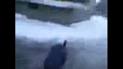 Видео009.3gp