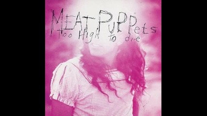 Meat Puppets - Lake Of Fire