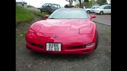Corvette