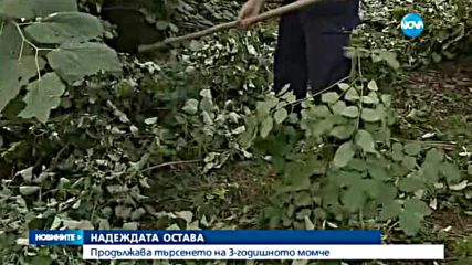 Продължава търсенето на 3-годишното дете, изчезнало в гора в Русенско