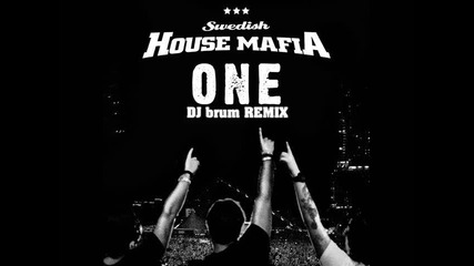 Swedish House Mafia - One dj brum remix