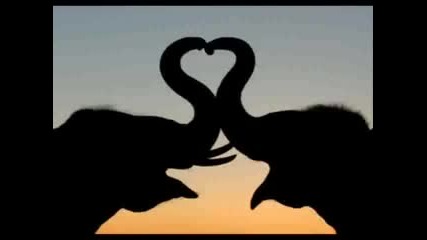 Whitney Houston - I Will Always Love You Vbox7