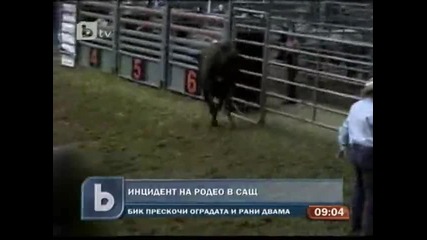 Разярен бик рани двама души в Сащ 