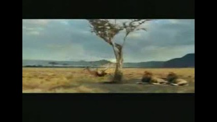 funny klip4e smqh do dupka