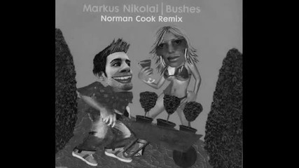 Markus Nikolai - Bushes (norman Cook Remix)