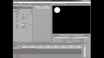 Adobe Premiere за начинаещи - Урок 4 - Основи на анимацията
