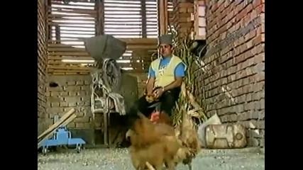 Rokeri s Moravu - Bosiljka