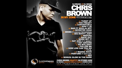 17. Chris Brown - T.y.a.