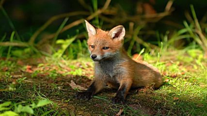 Relaxing Celtic Music _ Beautiful Music_ Relaxing Music_ Flute Music