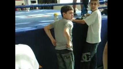 гратско по бокс 2009