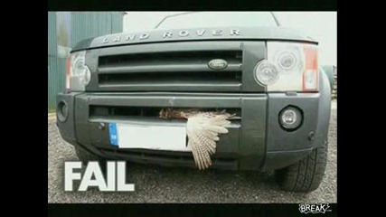Компилация Много Смешни Снимки Само За Вас