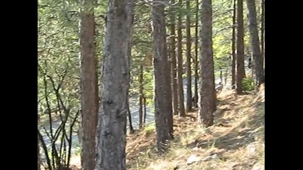 Rali Tvurdica 2009 