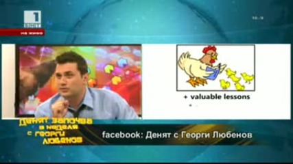 Nовата българска гордост: Апликейшън за кокошки