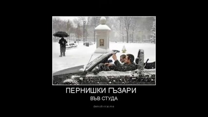 Добре дошли в Перник 2
