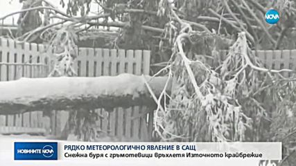 Снежна буря връхлетя САЩ
