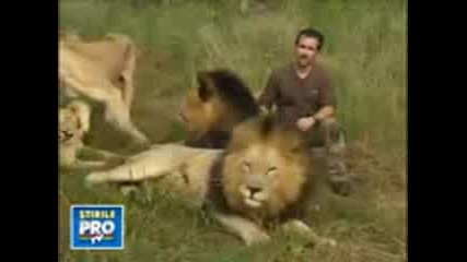 Човек обичан от лъвове 