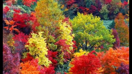Видео - (2016-11-25 17:48:24)