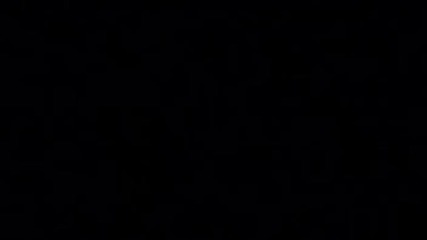 Supernatural.the.animation.s01e0