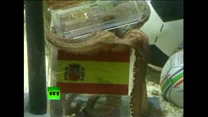 Октопода за пореден път позна финалиста на това световно първенство! Холандия 0:1 Испания 