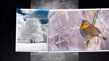 Indieindie - Winter