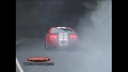 Ronaele Mustang better than Shelby Gt 500 or Eleanor