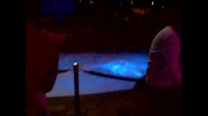 Маями парти 2