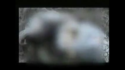 hepimiz ermenliyiz diyen sherefzizler izlesin... 