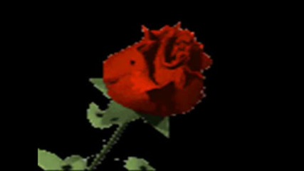Muzika.flv