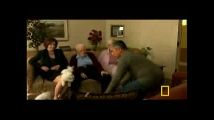 Dog Whisperer Retirement Terrors