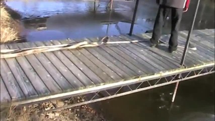 болезнен скок в езеро - на забавен кадър