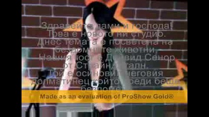 gossip girl 2ep.mpg