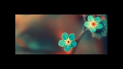 Една година без Галя! 27.06.1983-29.04.2013