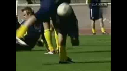 Zlatan Ibrahimovic Skils