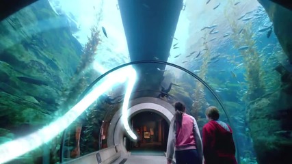 Discover Los Angeles