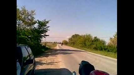 Djambaza 