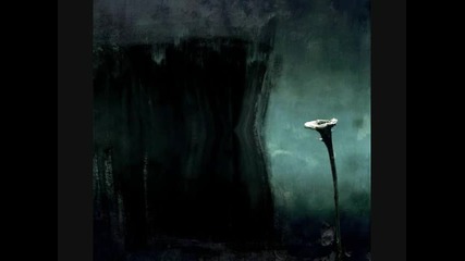 Mourah - J. Butterfly