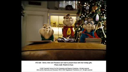 The Cutest Chipmunks