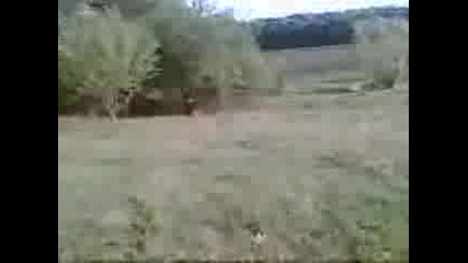 Zalitvane Ot Pushka