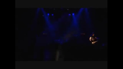 Paradise Lost - No Celebration