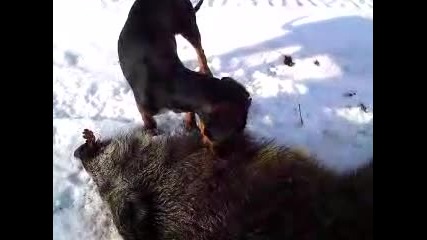 Mov01281