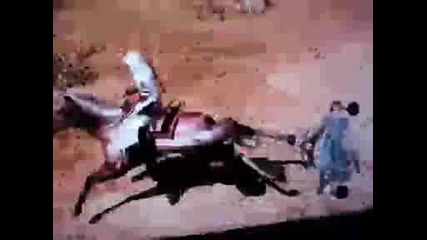 Assassins Creed Horse Bug