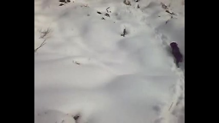 1.5 Месечнo . Барак Гони
