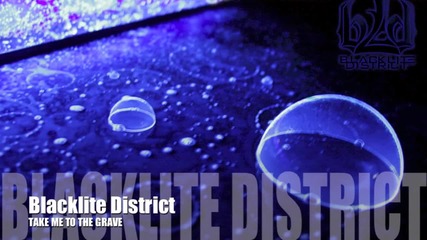 Blacklite District - Take Me To The Grave (2012) *текст