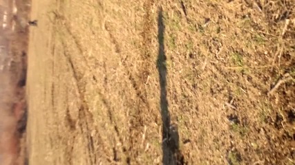 yamaha yz 450 vs ktm 300 exc