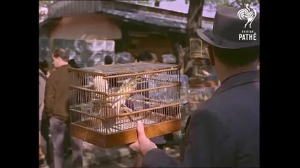 Париж - град на всички сезони (1960-1965)