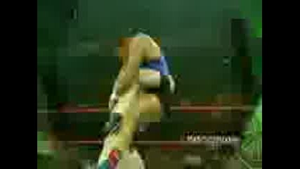Wwe King Sheamus Titantron 2011
