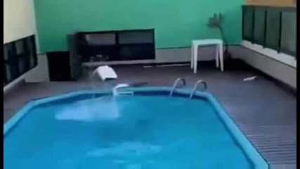 Как се скача в басейн :)