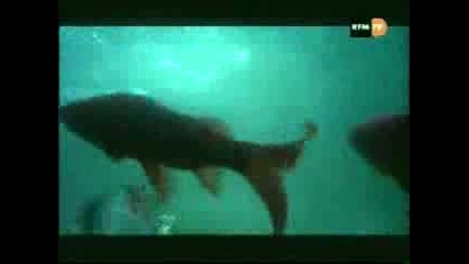 Lisa Stansfield - So Natural
