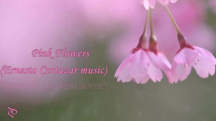 Даровете от природата - розови цветя! ... ( Ernesto Cortazar music) ...